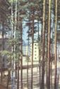 Perm. New homes in the Kirov district